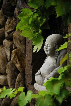 Zen Insight ZEN Insight Retreat :: Open Mind Zen